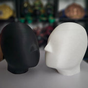 Lucha Lads display head